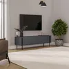 A modern living room with a TV stand, TV, plant, and furniture. Anteprima dell’immagine prodotto