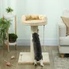 PawHut Kratzbaum klein, 85 cm Katzenbaum, Katzenkratzbaum Produktbild-Vorschau 7