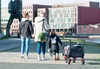 Pinolino Klappbollerwagen 'AddPlus' mit Bremse, grau Produktbild-Vorschau 7