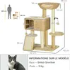 PawHut Arbre à chat avec griffoir arbre à grimper pour chat Voir les images du produit 5