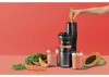 Slow Juicer NBJ500 (grijs/zwart, 150 Watt) Productafbeelding-voorbeeld 8