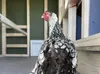 Hühnerstall XL EZ Chicken Home Rot, 3,78 m² - Wetterfest, Produktbild-Vorschau 15