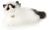 Plyšová kočka Ragdoll 38 cm Ekologická Náhled obrázku produktu 1