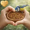 Mehlwürmer 10 L getrocknet im Eimer Wildvogelfutter Vögel Produktbild-Vorschau 6