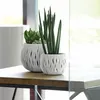 Doniczka okrągła Sandy Bowl 18 cm biała Podgląd zdjęcia produktu 5