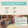 A dog is being fed a treat by a person's hand, with a graphic overlay showing feeding recommendations and product features. Produktbild-Vorschau