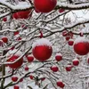 6 x Weihnachtskugeln für den Außenbereich, frostfest und Produktbild-Vorschau 3
