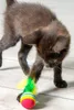 Karlie Regenbogenbälle mit Feder - Katzenspielzeug - Gummi Produktbild-Vorschau 4