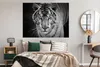 MuchoWow® Poster Tiere - Tiger - Schwarz und weiß - Augen - Produktbild-Vorschau 4