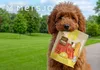 Mersjo weiche Hähnchenstreifen 2x500g - Hundeleckerli Produktbild-Vorschau 20