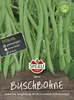 Buschbohne ''Maxi'' fadenlos, langhülsig, leicht zu ernten Produktbild-Vorschau 3