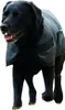 Weatherbeeta - Manteau pour chien « Comfitec », classique, Voir les images du produit 2