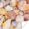 MuchoWow® Poster Muscheln - Strand - Sommer - Orange 75x75 Produktbild-Vorschau 1