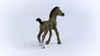 schleich HORSE CLUB 13957, 5 Jahr(e), Horses, Braun Produktbild-Vorschau 9