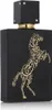 Lattafa Perfumes - Lail Maleki EDP 100ml Anteprima dell’immagine prodotto 7