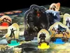 Hra KOSMOS Legends of Andor III Náhled obrázku produktu 10