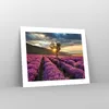 Poster - Poster ohne Rahmen - Lavendel Berge Feld - 50x40 Produktbild-Vorschau 7
