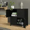 A black metal cabinet with two doors on the top and two doors on the bottom, filled with office supplies and binders. A plant sits on top of the cabinet. Náhled obrázku produktu