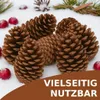 A collection of pinecones arranged on a snowy surface, with cranberries and pine needles scattered around. Produktbild-Vorschau