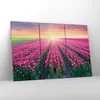 Bild auf Leinwand - Leinwandbild - Wiese Tulpen Produktbild-Vorschau 4