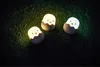 Three small, egg-shaped chick lights are glowing on a dark, grassy surface. Produktbild-Vorschau