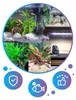 Aquarium Wurzel Red Moor XS 10-15 cm, natürliche Deko für Produktbild-Vorschau 12