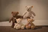 Teddy Ben 30 béžová Náhled obrázku produktu 4