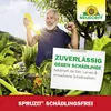 Neudorff Spruzit Schädlingsfrei 250ml für 25L Spritzbrühe Produktbild-Vorschau 6
