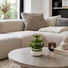 Lucky Bamboo - modernes Arrangement in runder Schale - 3 Produktbild-Vorschau 2