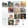 Chats 2027 Voir les images du produit 1