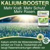 DÜNGEMEISTER Herbst Rasendünger – mit Langzeitwirkung und Produktbild-Vorschau 3