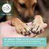 AniForte Pfotenbalsam Hund 60ml – Natürlicher Pfotenschutz Produktbild-Vorschau 5