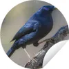 MuchoWow® Produktbild-Vorschau 1