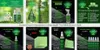 ScreenClean 250ml GREEN Clean - Bildschirmreiniger, 250ml Produktbild-Vorschau 6