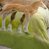 ESPiCO Bettwäsche Trendy Bedding Pferd Renforcé 135 cm x Produktbild-Vorschau 7