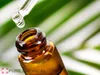 PURE CHEMICAL | Tsubaki-Öl | Kamelie | unraffiniert | Produktbild-Vorschau 5