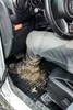 2009-2018 Toyota Verso tappetini in gomma nera 4 pezzi Anteprima dell’immagine prodotto 21