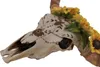 Deko Schädel HWC-Q10, Polyresin Stier Bulle Longhorn Kopf Produktbild-Vorschau 5