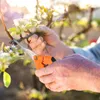 2x Pflanzenschere Gartenschere Astschere Pflanzen Produktbild-Vorschau 7