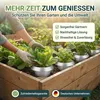 HomeBugProtect 5x Wiederverwendbarer Schneckenkragen aus Produktbild-Vorschau 7