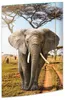 RNK Zeichenmappe Elefant DIN A3 Gummizug 310x440mm Produktbild-Vorschau 1