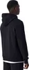 CHAMPION Hooded Sweatshirt Herren schwarz L Produktbild-Vorschau 19