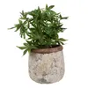Clayre & Eef Blumentopf Ø 18x17 cm Beige Terrakotta Produktbild-Vorschau 2