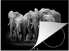 KitchenYeah© Herdabdeckplatte Elefant - Schwarz - Weiß - Produktbild-Vorschau 1