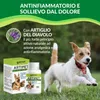 Artipet, integratore per articolazioni cani | 180 compresse Anteprima dell’immagine prodotto 4