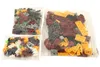 LEGO® Creator Fabelwesen, 31073 Produktbild-Vorschau 6