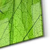 DEQORI Glasbild Echtglas 60x30 cm 'Transparente Produktbild-Vorschau 5