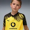 Koszulki Puma Bvb Home Jersey Replica 946438001 Podgląd zdjęcia produktu 6
