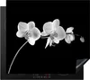 KitchenYeah© Herdabdeckplatte Orchidee - Blumen - Schwarz - Produktbild-Vorschau 1