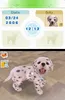 A screenshot from a Nintendo DS game, showing a virtual pet dog named Dotty. Produktbild-Vorschau